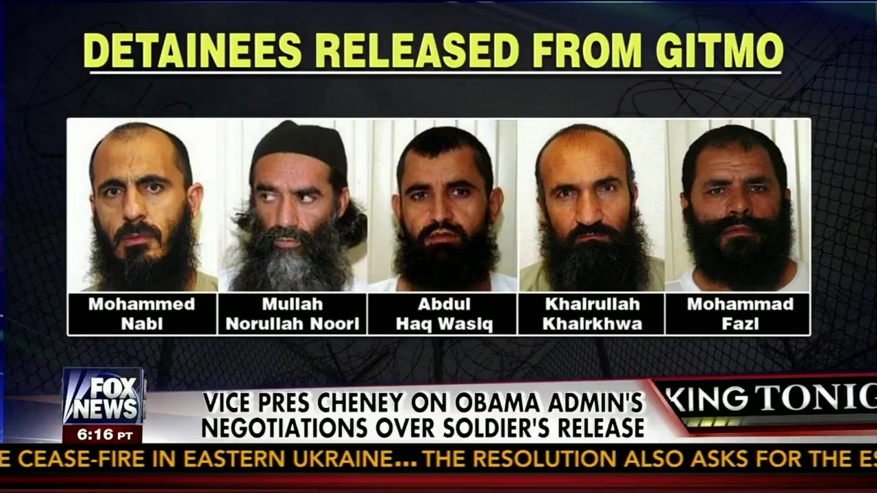 The USA vs. Bergdahl screenshot 2