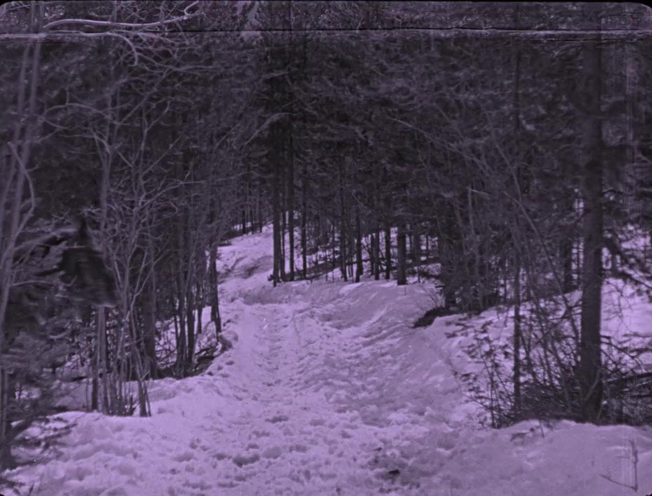 The Valley of Silent Men screenshot 1