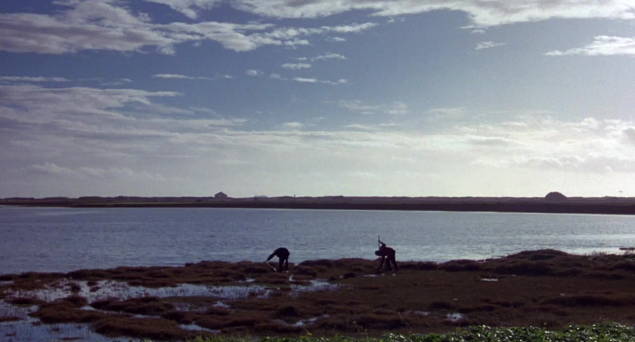 The Van screenshot 3