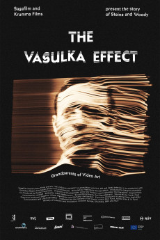 The Vasulka Effect (2019) poster
