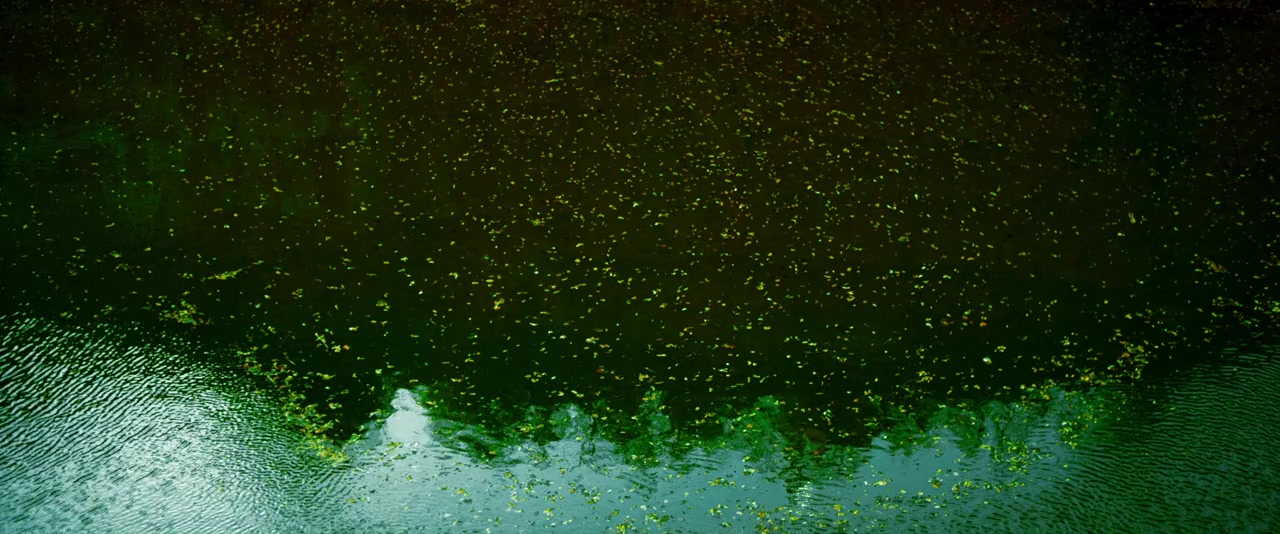 The Veil screenshot 2