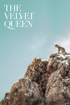 La panthère des neiges (2021) poster