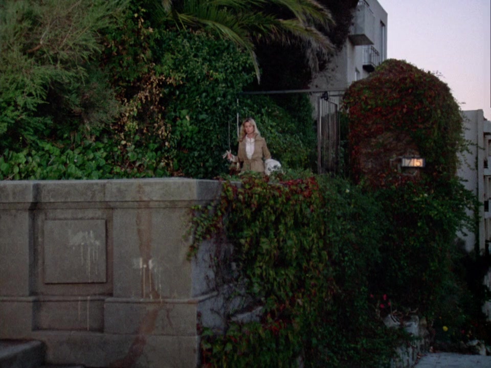 The Victim screenshot 1