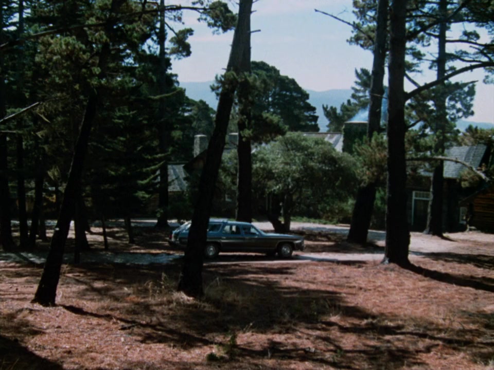 The Victim screenshot 2