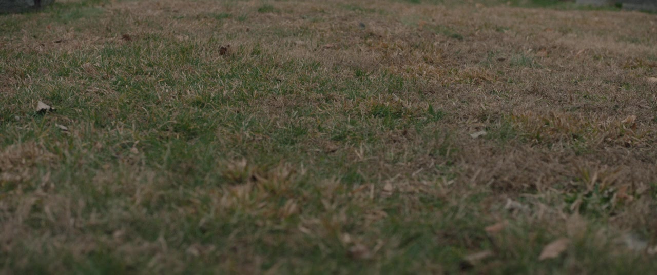 The Violent Heart screenshot 2