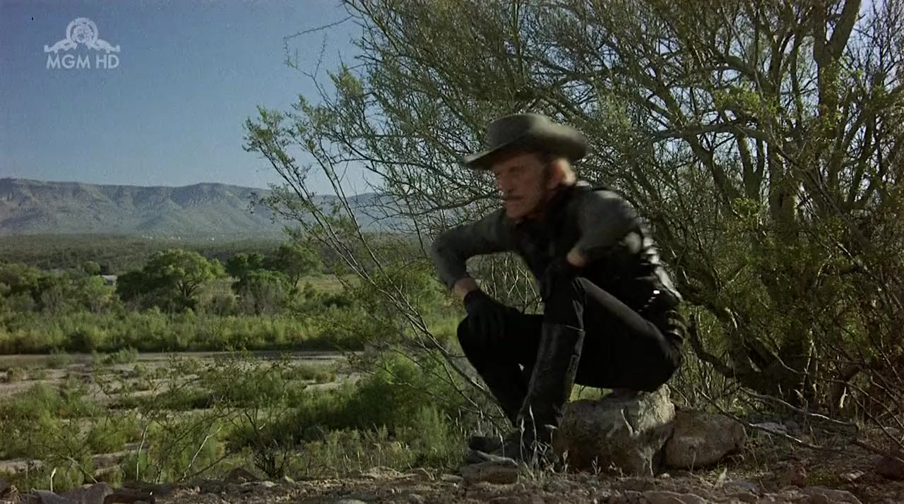 The Villain screenshot 1