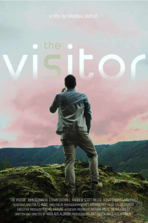 The Visitor (2024) poster
