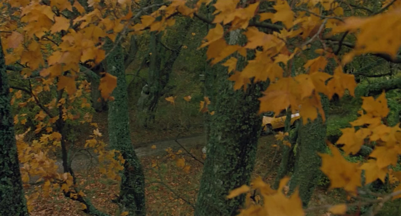 Besökarna screenshot 1