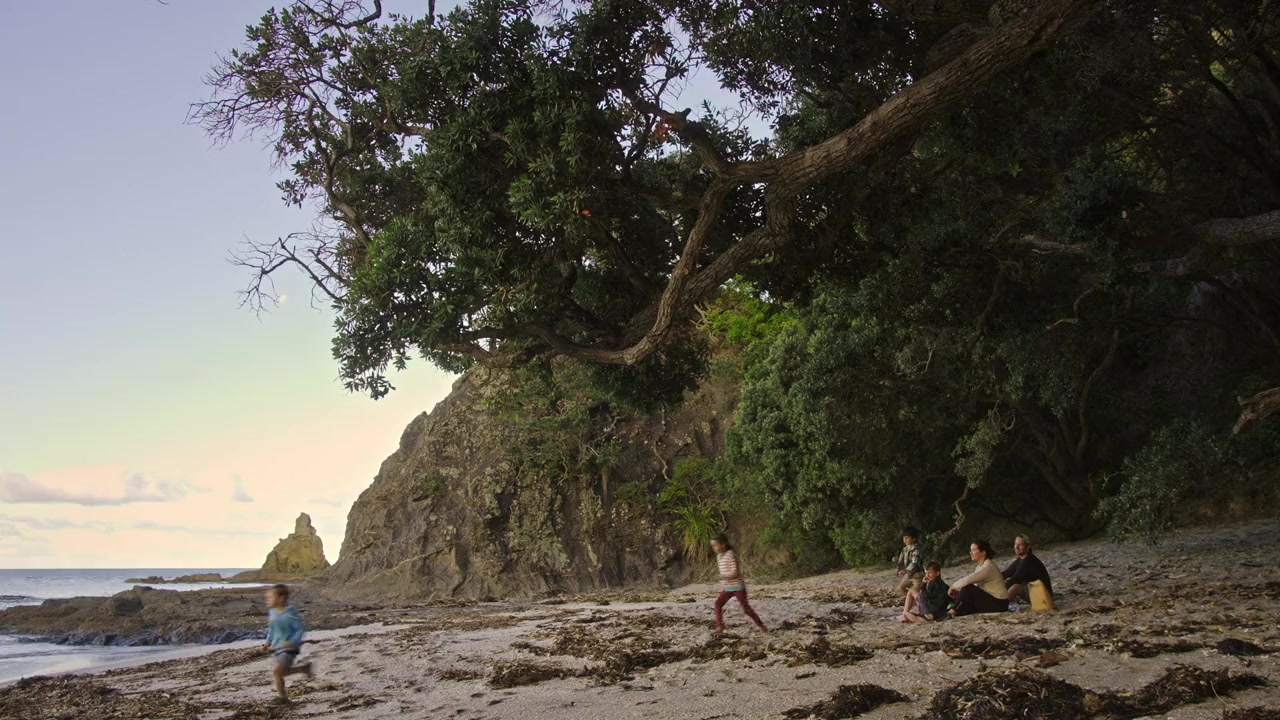 The Volcano: Rescue from Whakaari screenshot 2