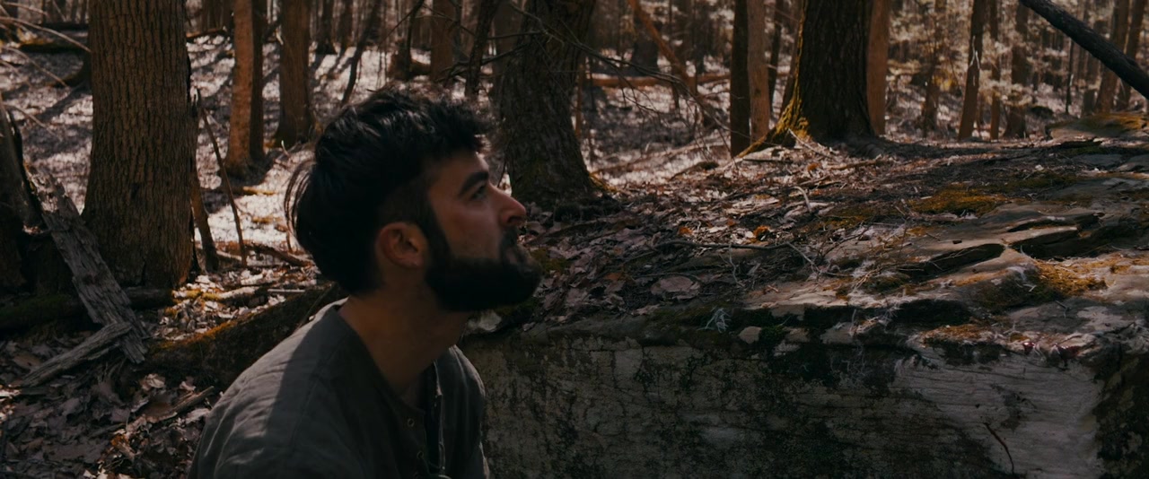 The Vord screenshot 2