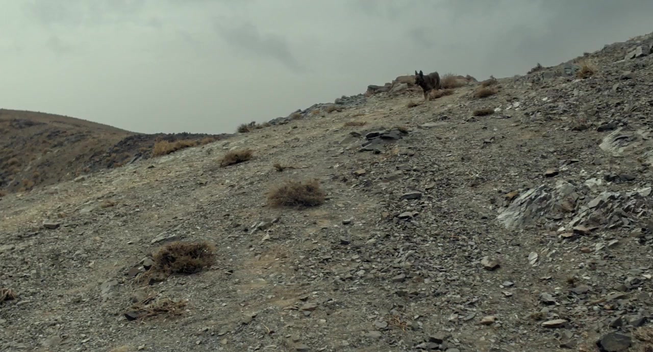 Ni le ciel ni la terre screenshot 1
