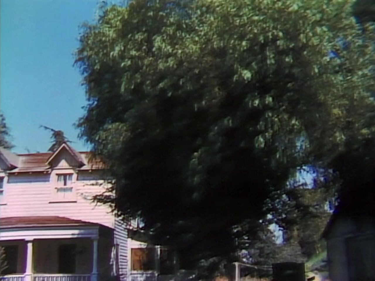 The Waltons: A Decade of the Waltons screenshot 3