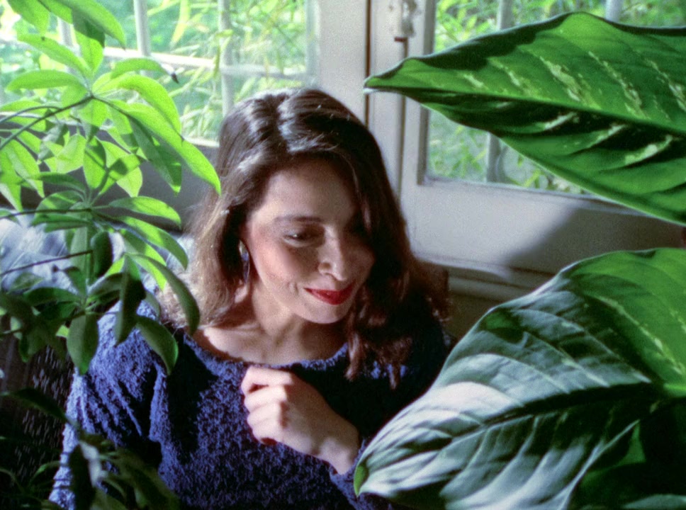 La Telenovela Errante screenshot 1