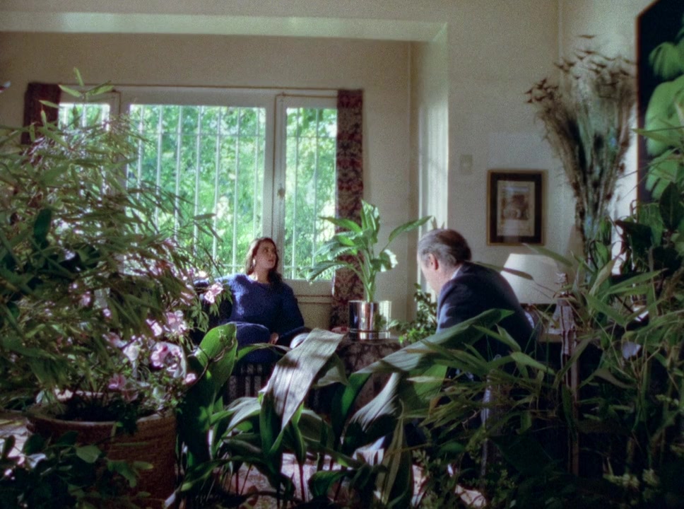 La Telenovela Errante screenshot 2