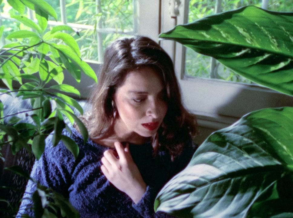 La Telenovela Errante screenshot 3