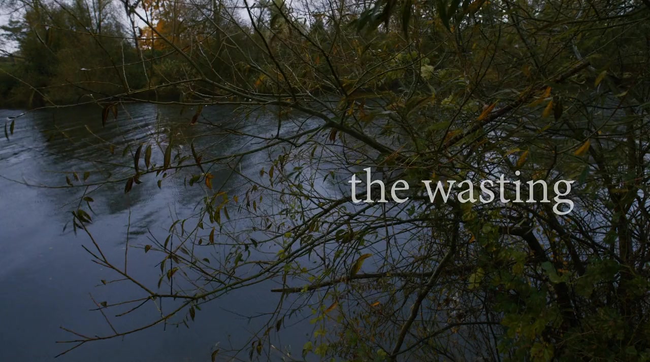The Wasting screenshot 1