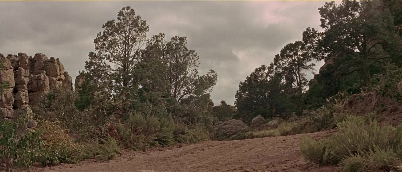 The War Wagon screenshot 1