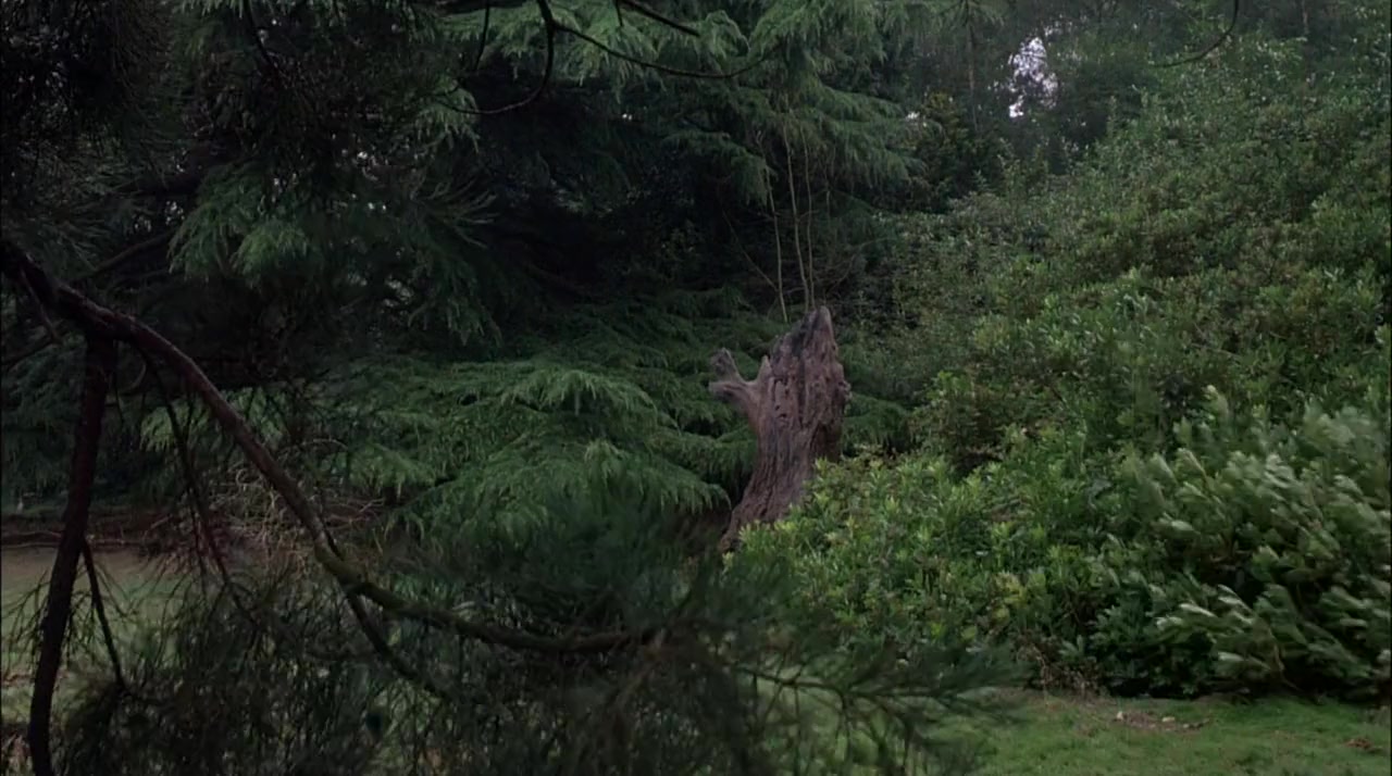 The Watcher in the Woods screenshot 1