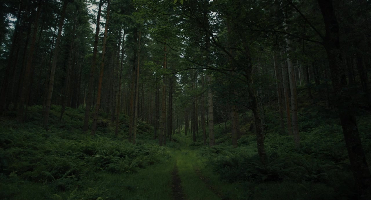 The Watchers screenshot 1
