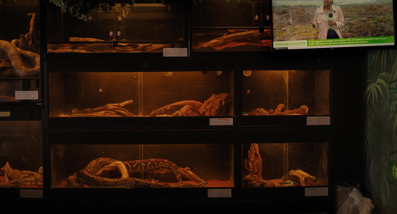 The Watchers screenshot 3