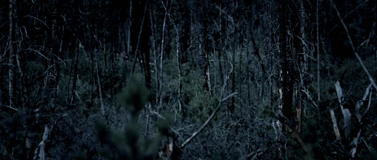 The Mountie screenshot 3