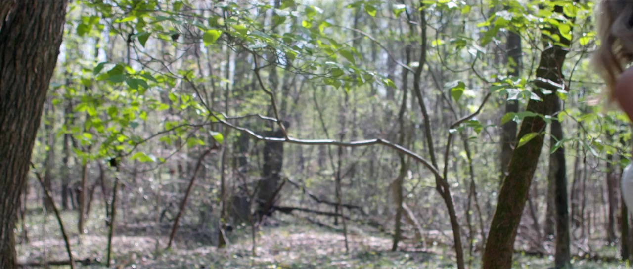 The Wedding Trip screenshot 1