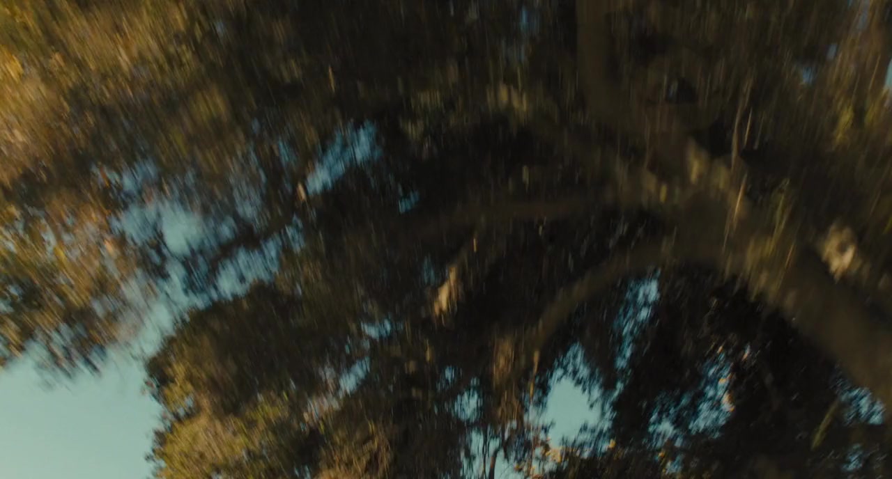 The Weekend screenshot 2