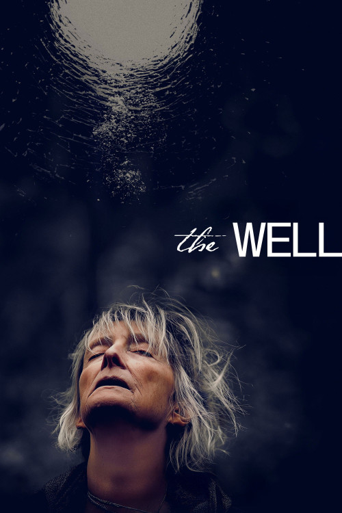 The Well (2025) poster