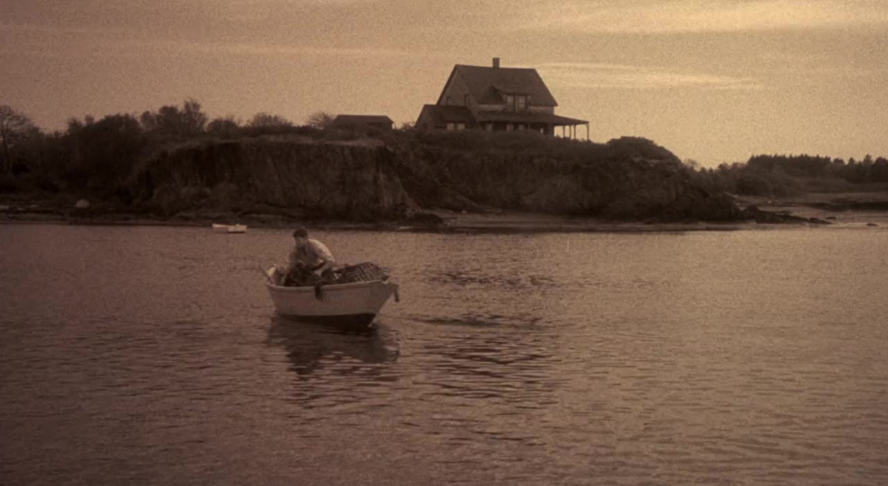 The Whales of August screenshot 3