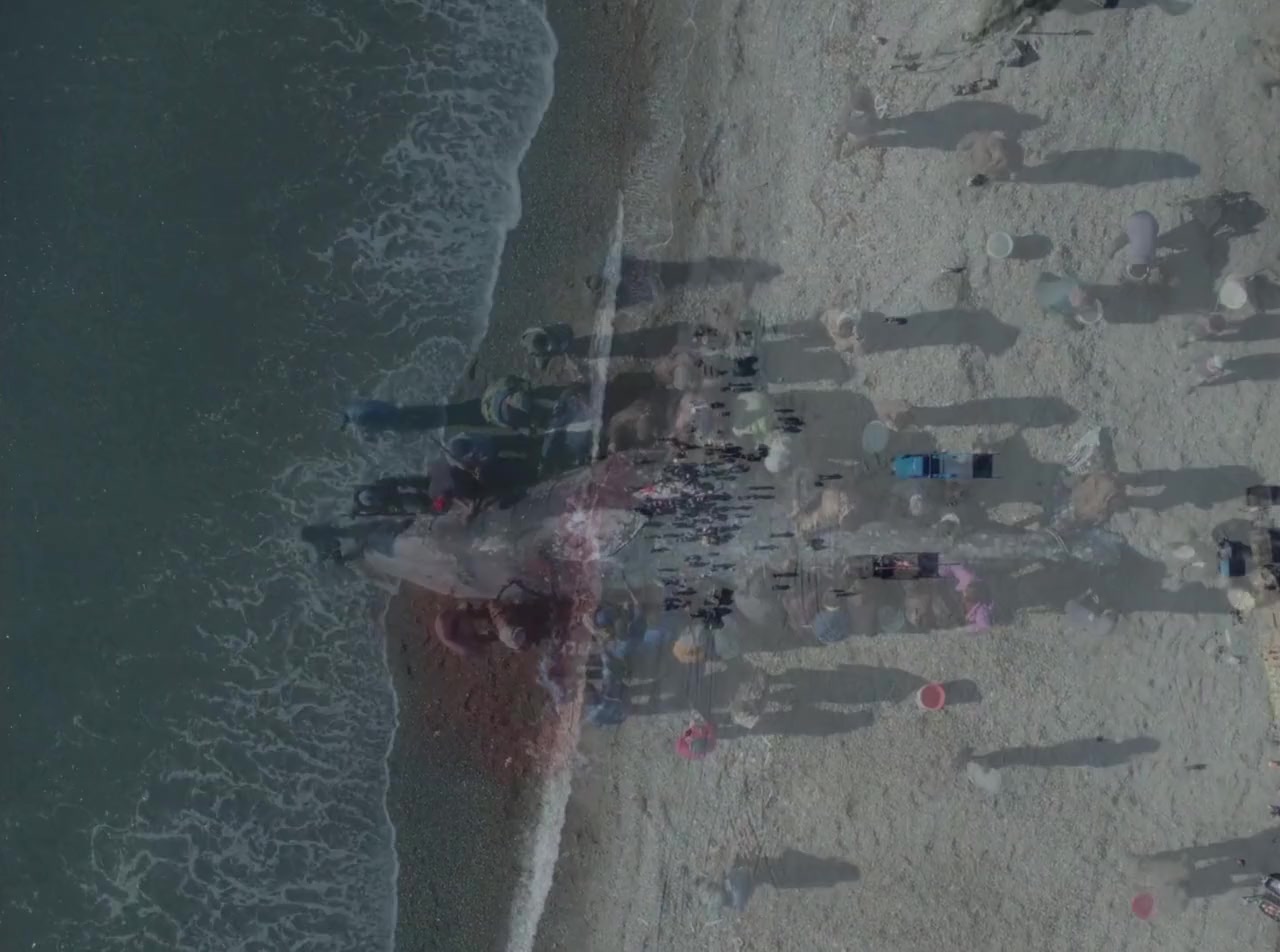Kitoboy screenshot 2