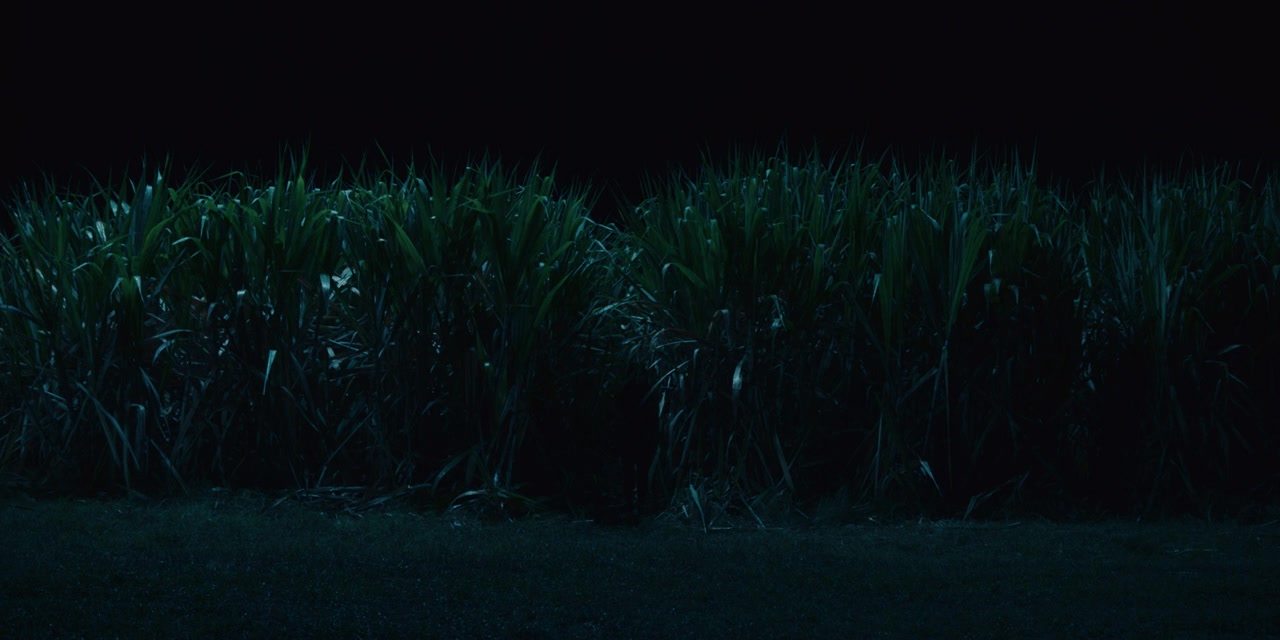 The Whistler screenshot 3