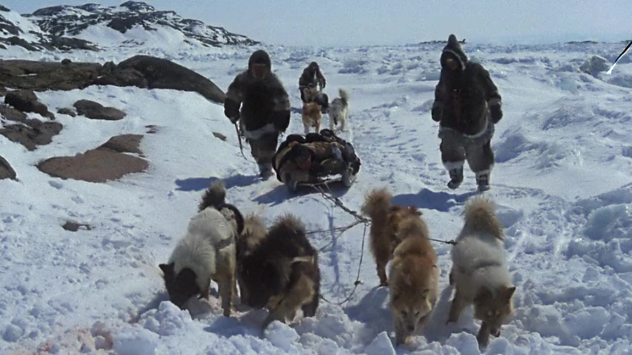 The White Dawn screenshot 1