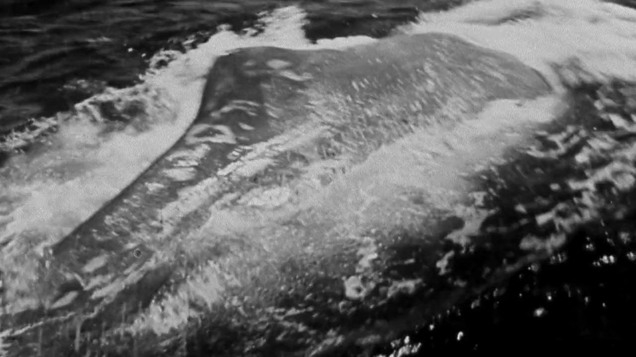 The White Dawn screenshot 3