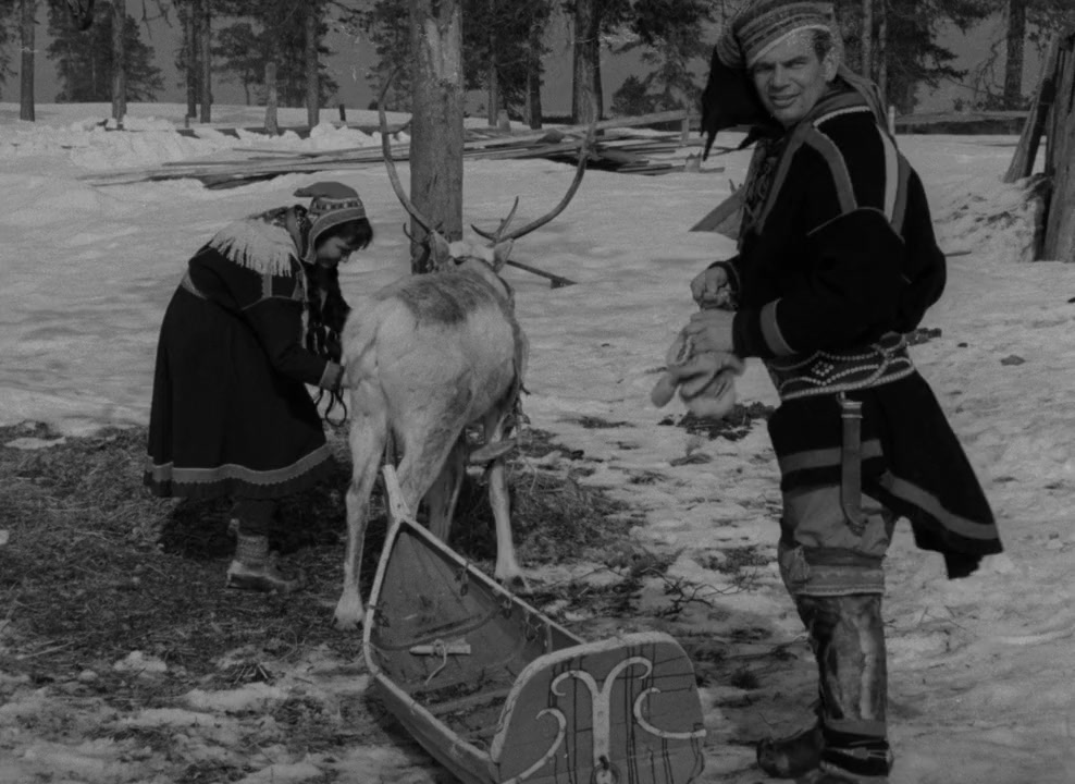 Valkoinen peura screenshot 1