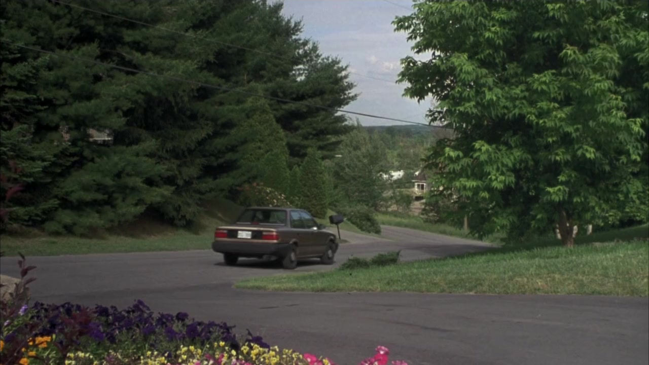 The Whole Nine Yards screenshot 1
