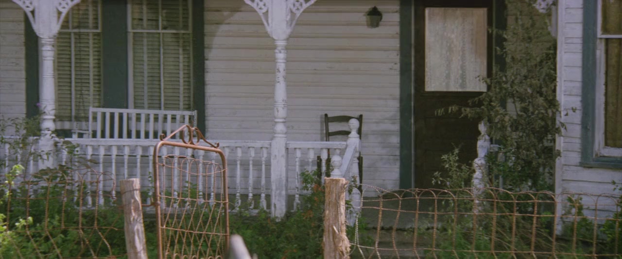 The Whole Wide World screenshot 3
