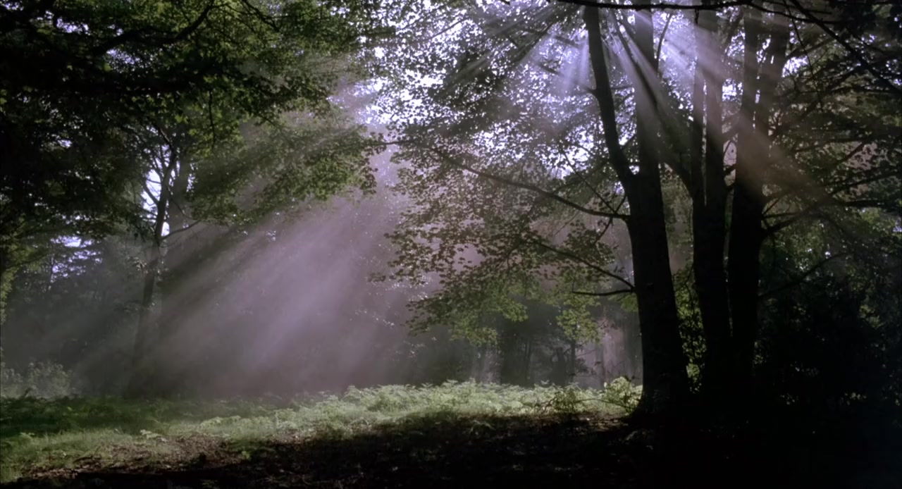 The Wicked Lady screenshot 1