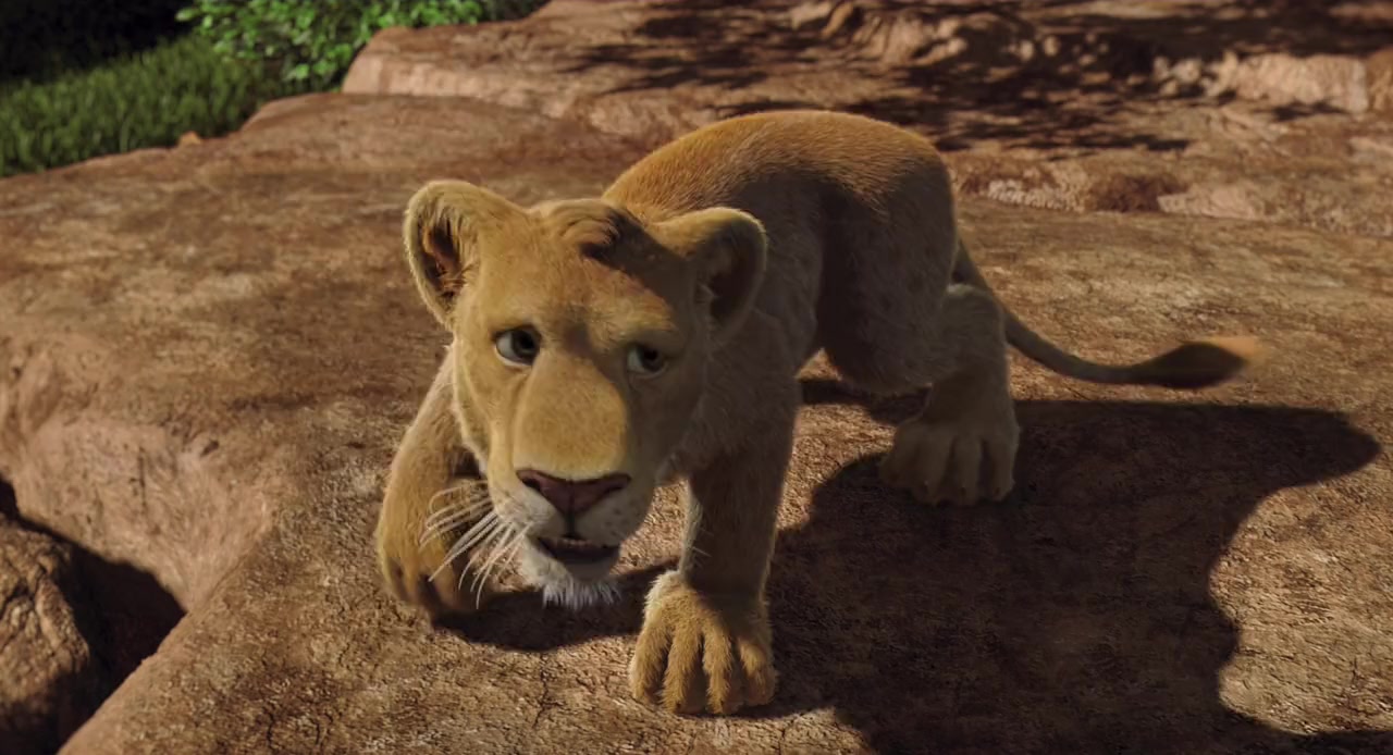 The Wild screenshot 2