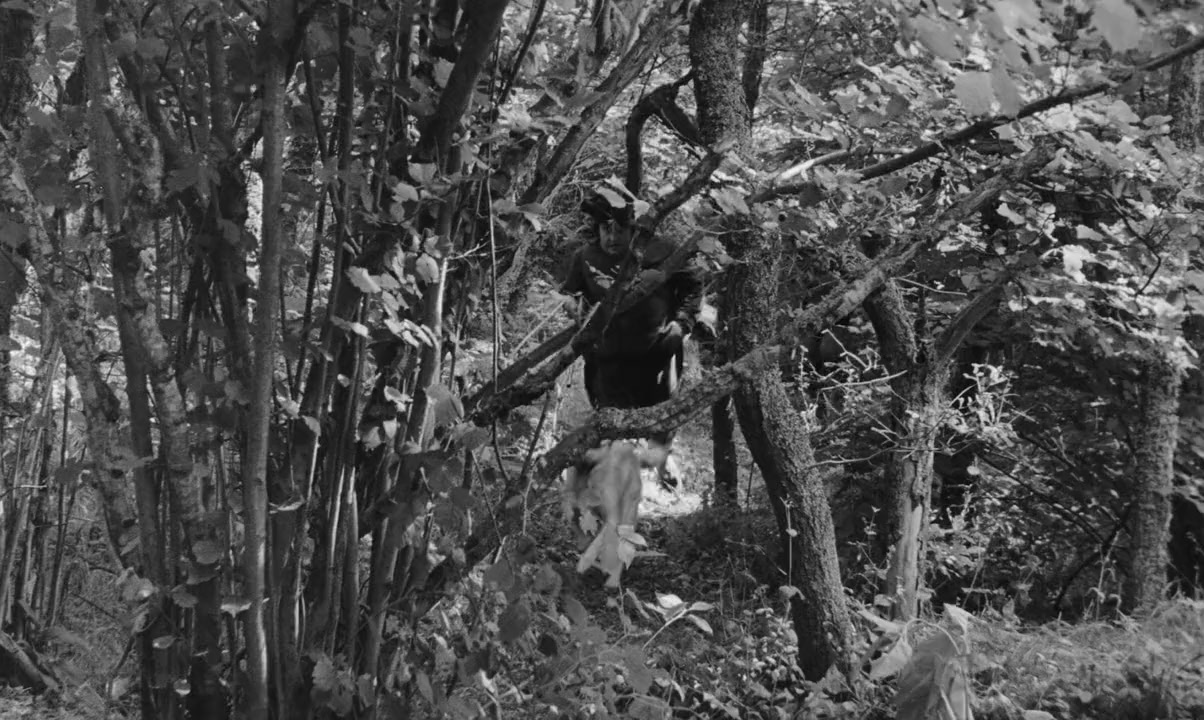 L'enfant sauvage screenshot 1