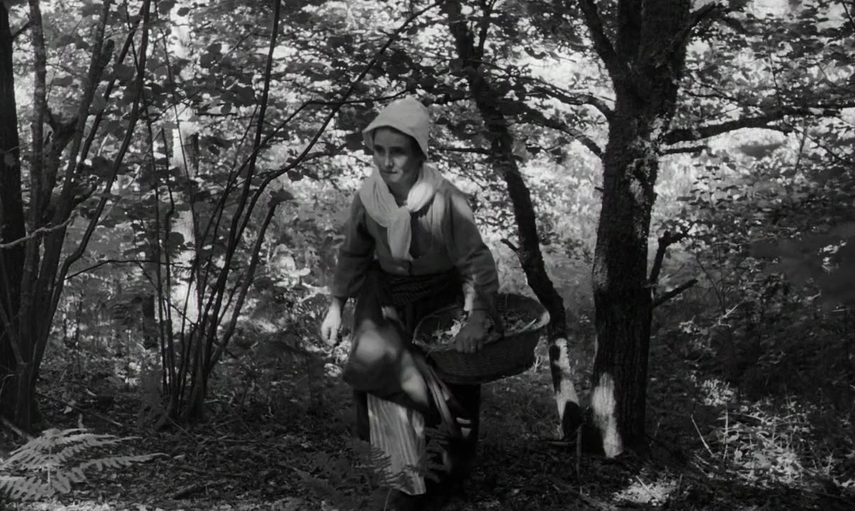 L'enfant sauvage screenshot 3