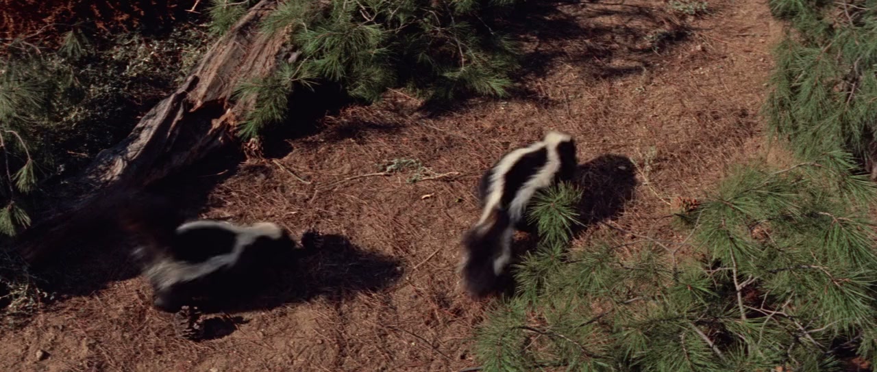 The Wild and the Innocent screenshot 1