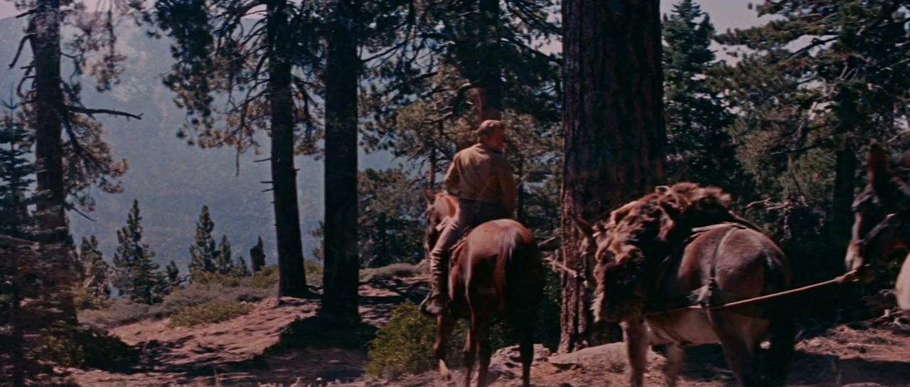 The Wild and the Innocent screenshot 3