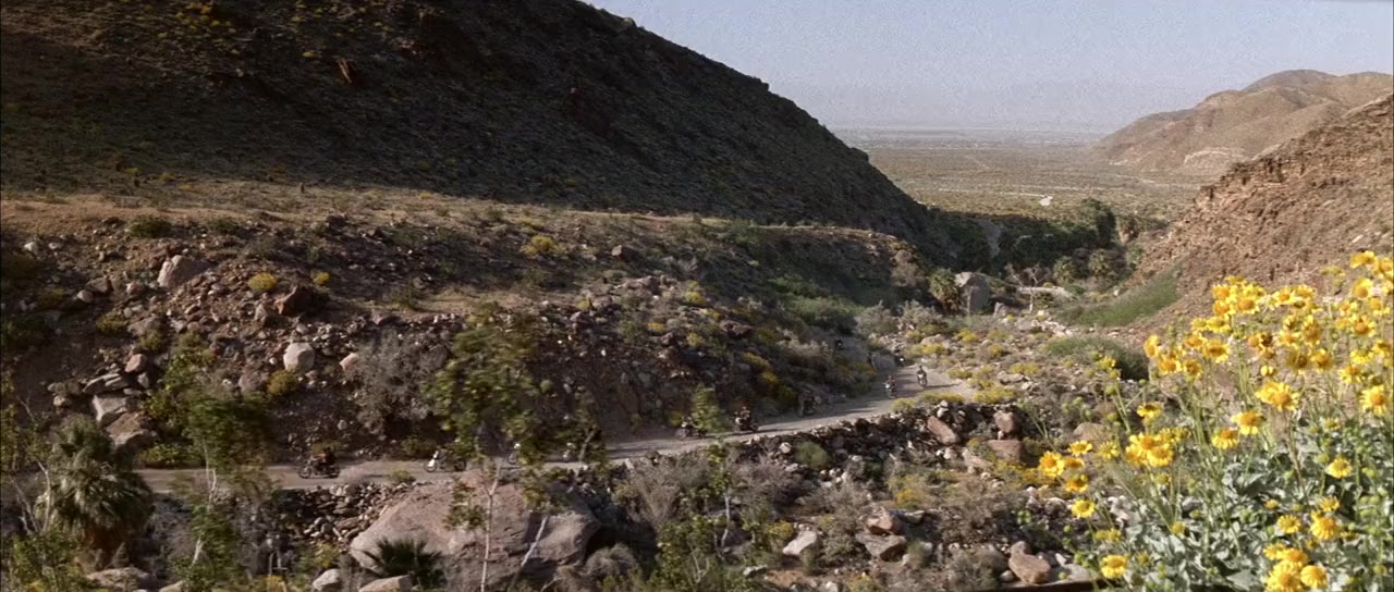 The Wild Angels screenshot 1