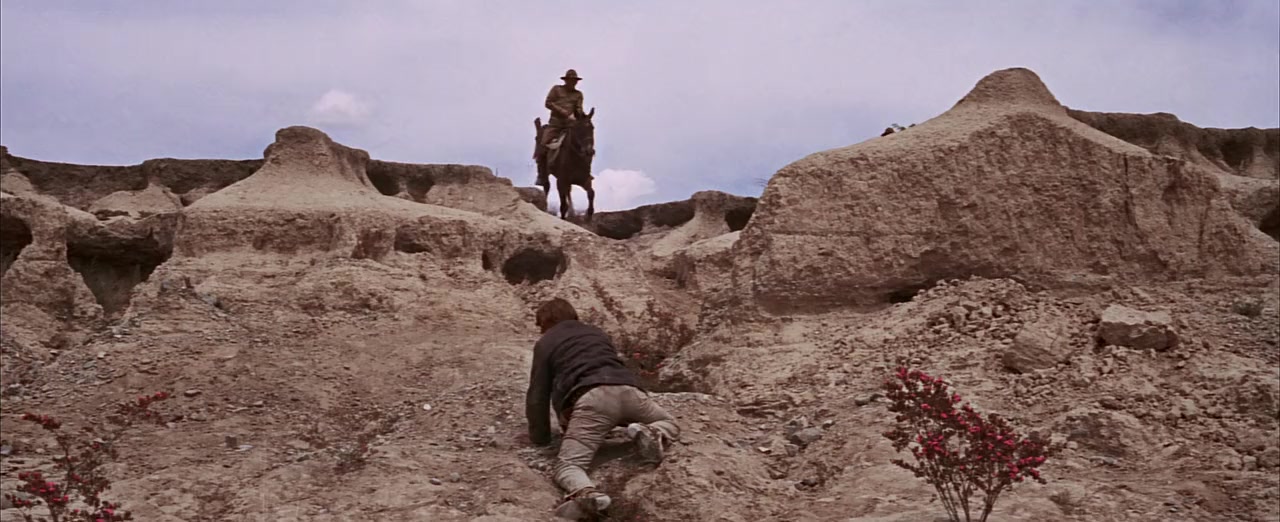 The Wild Bunch screenshot 1