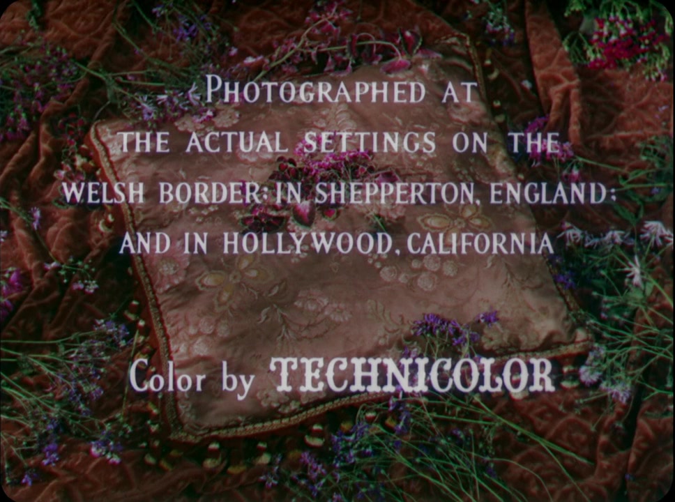 The Wild Heart screenshot 1