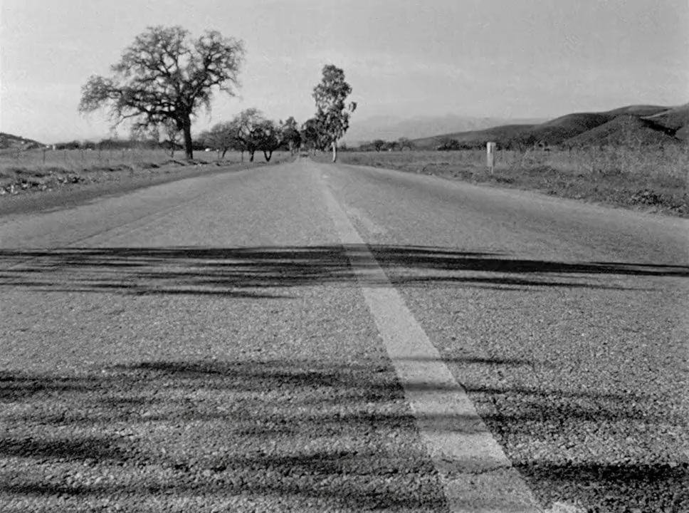 The Wild One screenshot 2