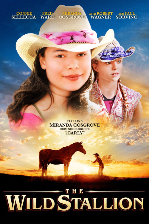 The Wild Stallion (2009) poster