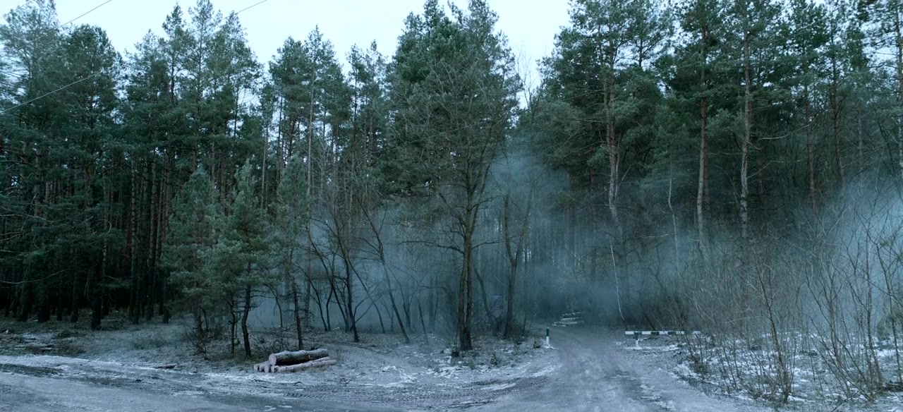 The Witch: Revenge screenshot 1
