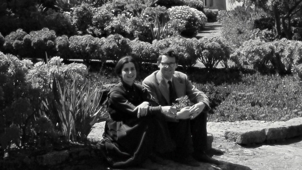 The Woodmans screenshot 1