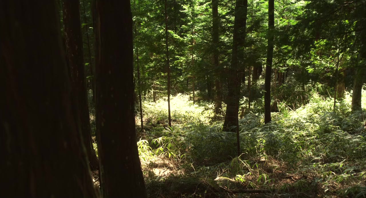 Kitsutsuki to ame screenshot 2